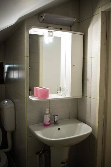 Фото номера Двухместный номер с 2 отдельными кроватями и собственной ванной комнатой Гостевой дом Pensiunea George г. Гура-Рыулуй 5