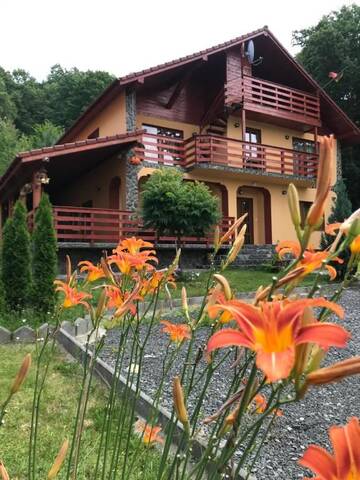 Фото номера Дом для отпуска Дома для отпуска Vila Ramona г. Гура-Рыулуй 88