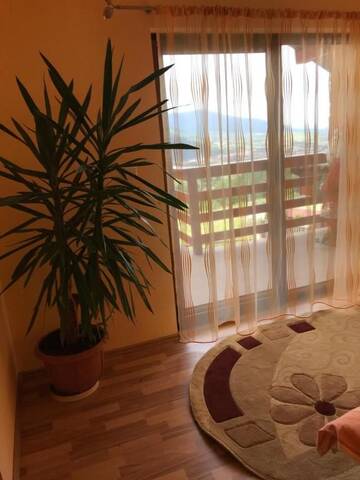 Фото номера Дом для отпуска Дома для отпуска Vila Ramona г. Гура-Рыулуй 62